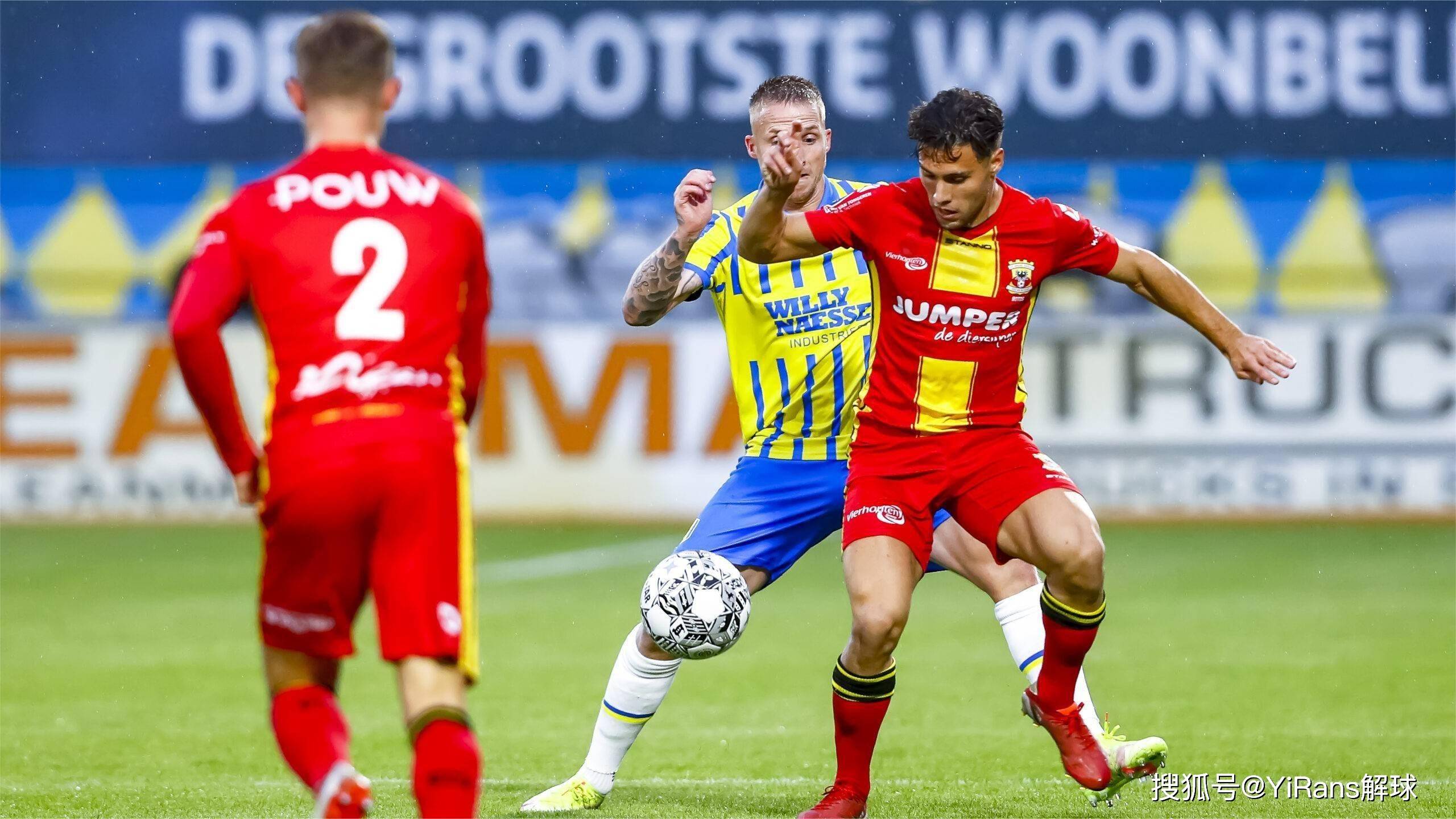 观赏性的动 观赏性的动