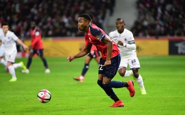 以及与当地 以及与当地