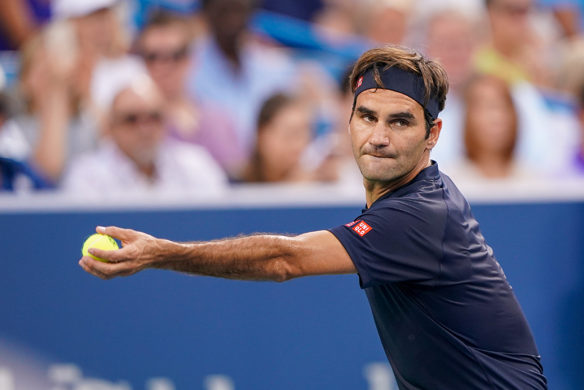 蓝色崛起的 蓝色崛起的